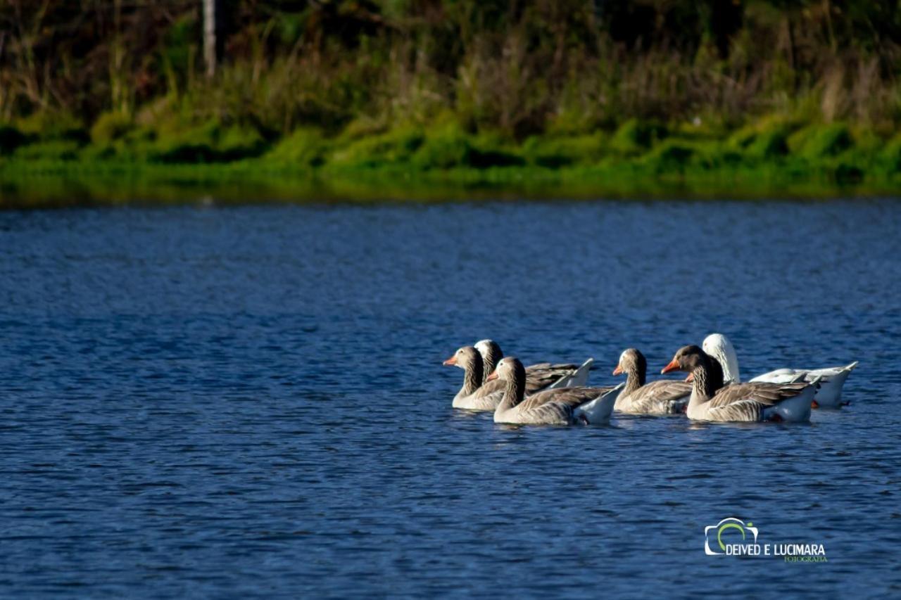 Refugio Do Lago